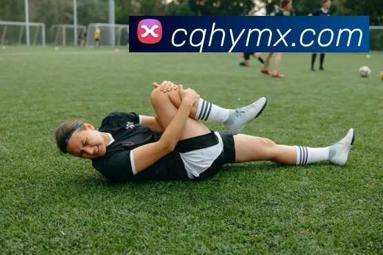 xc体育平台生态图